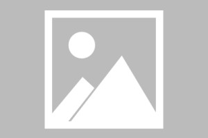 开云网页版中国官网-休赛期冠军杨帆起航？美记：种种迹象显示，若比尔成为自由球员，他将会与快船签约